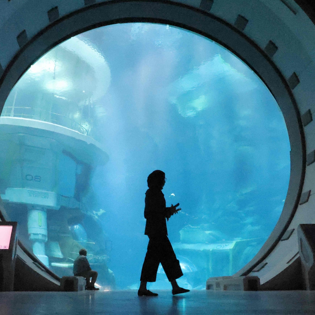 SeaWorld Abu Dhabi holds opening ceremony