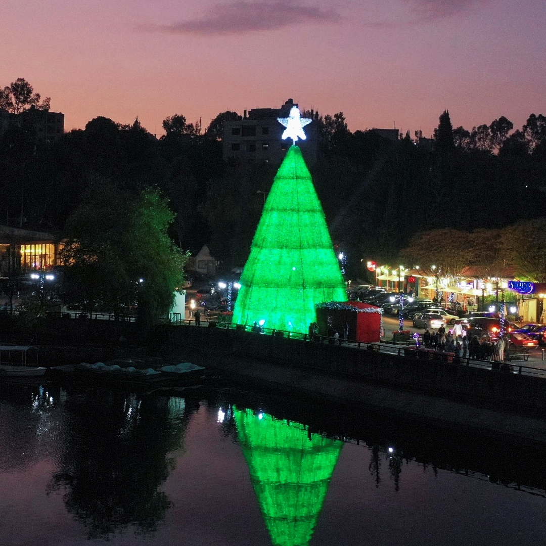 Lebanon christmas tree flag